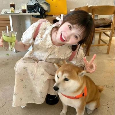 杀手的童话